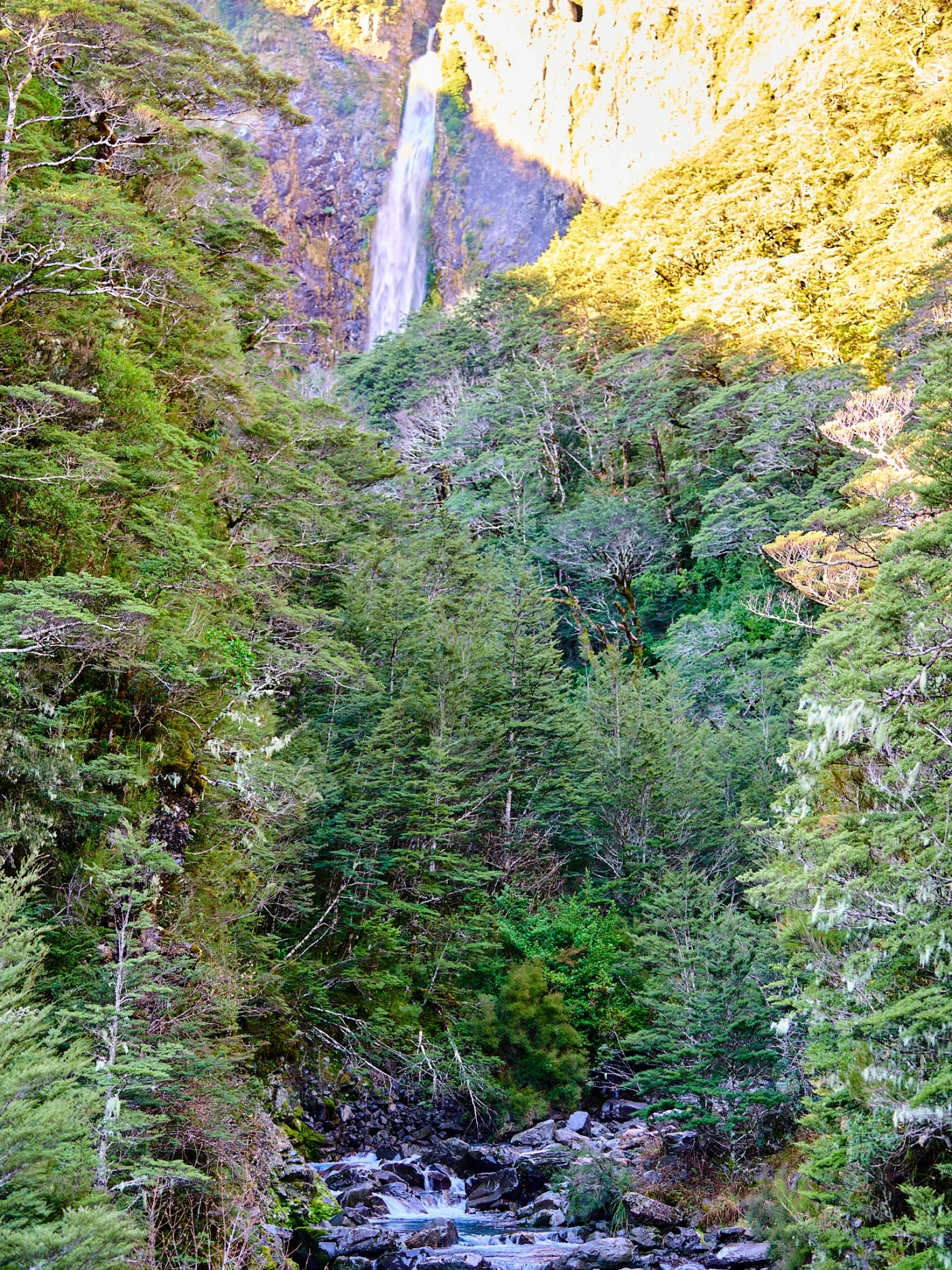 Landscape